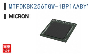 MTFDKBK256TGW-1BP1AABYY